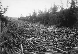 Giant Logjam 1894 | praythroughhistory
